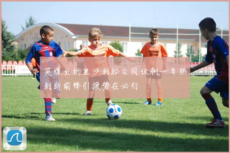英媒分析里沙利松合同仅剩一年热刺新前锋引援势在必行