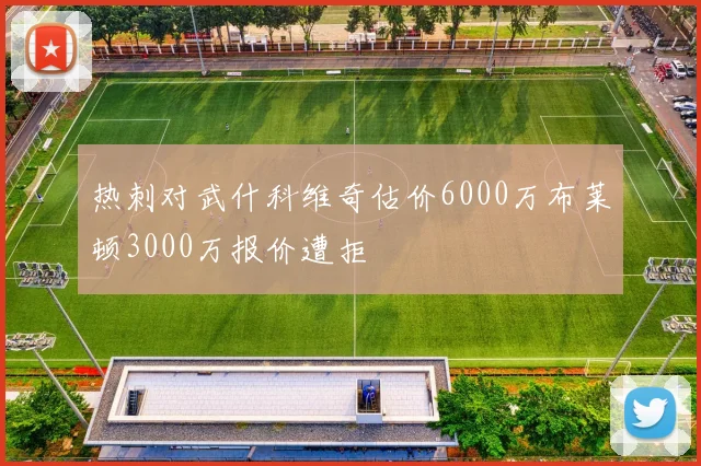 热刺对武什科维奇估价6000万布莱顿3000万报价遭拒