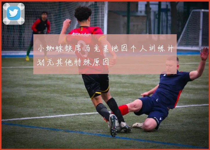小蜘蛛缺席马竞基地因个人训练计划无其他特殊原因